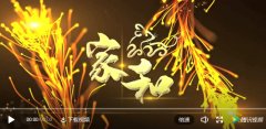 共筑亮剑精神，同谱精彩华章-2020华唐教育集团年会精彩回顾
