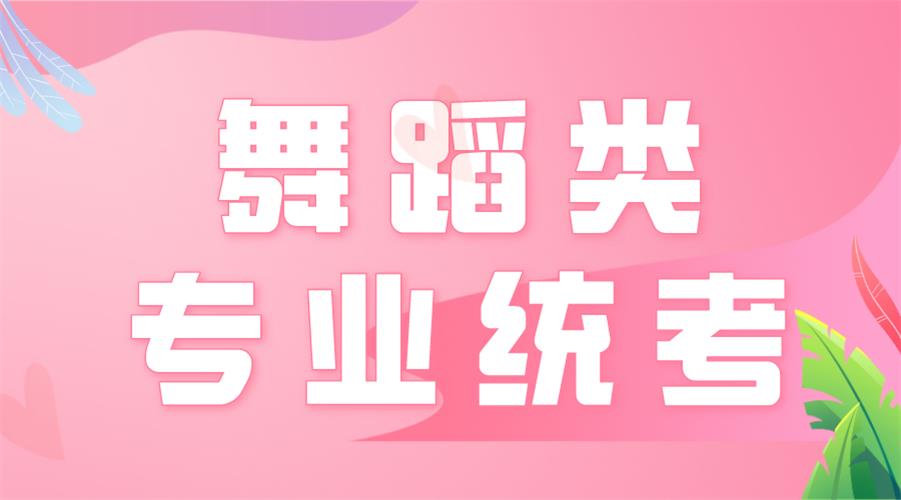 2021年河北省艺考舞蹈专业