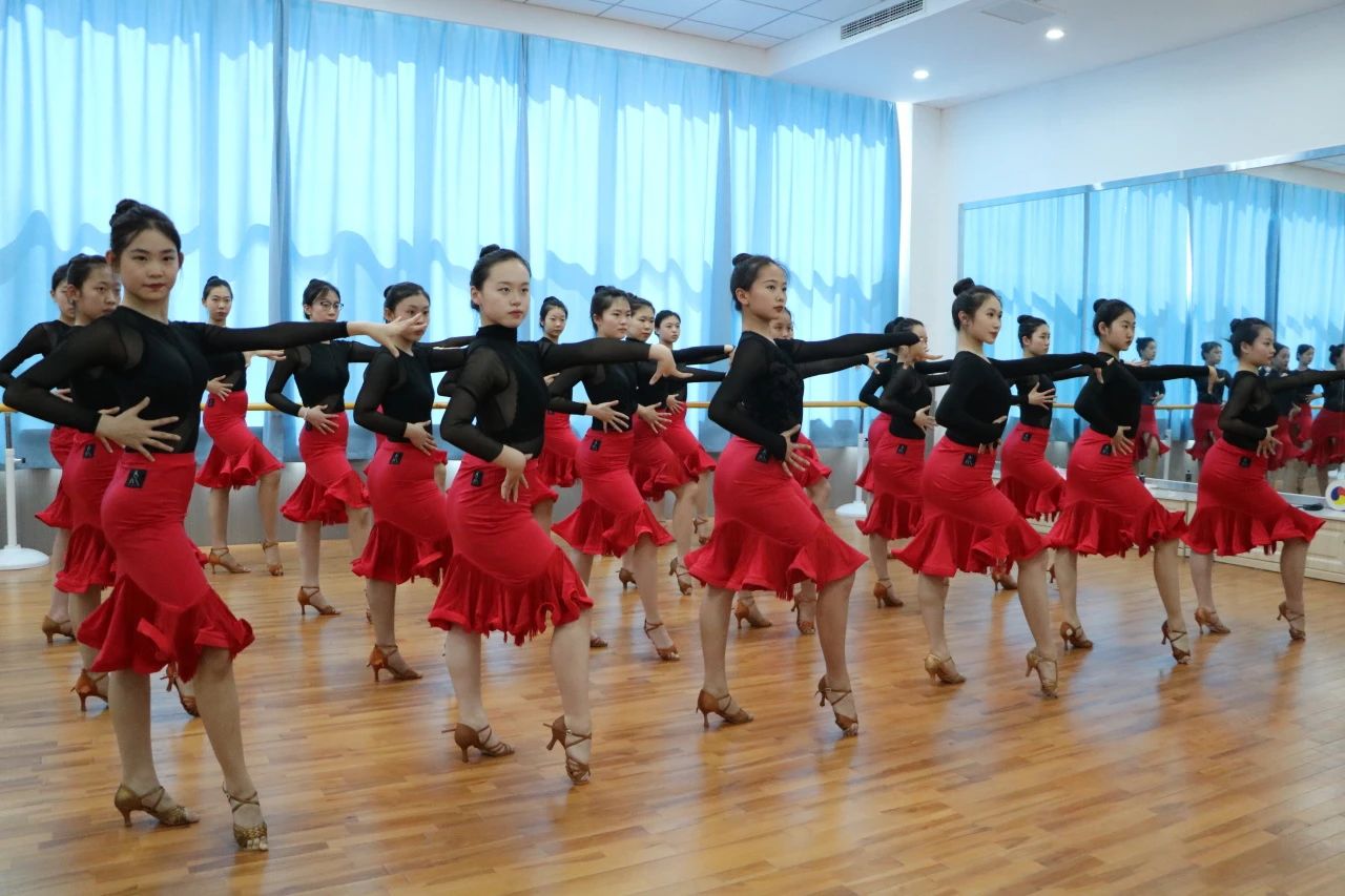 2024河北省艺术统考政策解读之舞蹈类